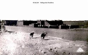 Ain-Salah - Refuge des Mouflons